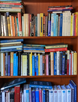 Shelves of Technical Books